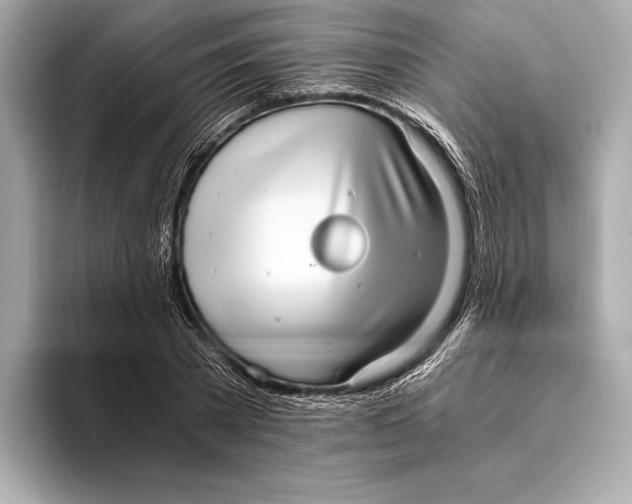 X0000093530785200711021310