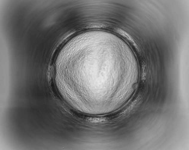 X0000093530786200711021310