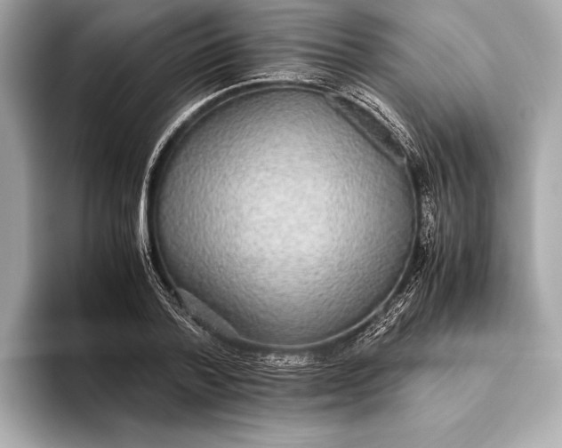 X0000093530788200711021310