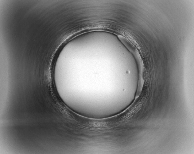 X0000093530789200711021310