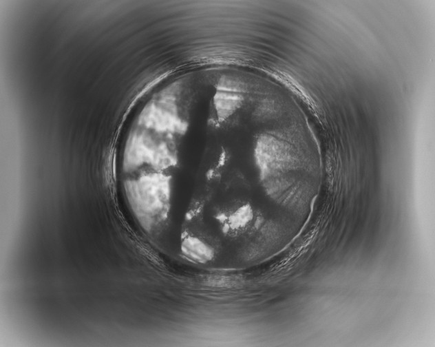 X0000093530790200711021310