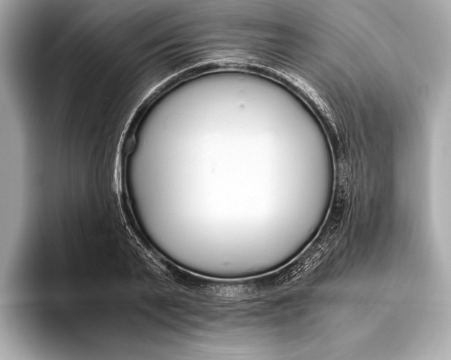 X0000093530791200711021310