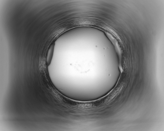 X0000093530793200711021309