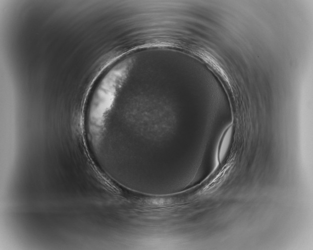 X0000093530797200711021309