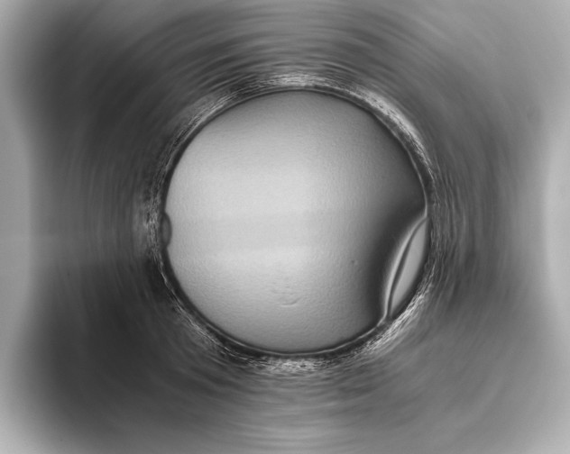 X0000093530801200711021309