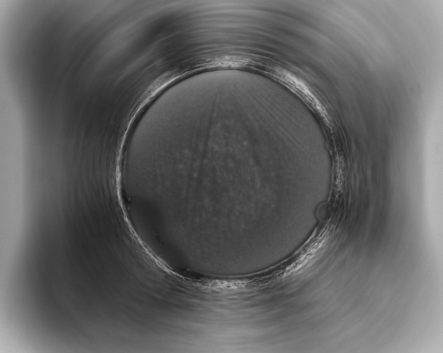 X0000093530802200711021309