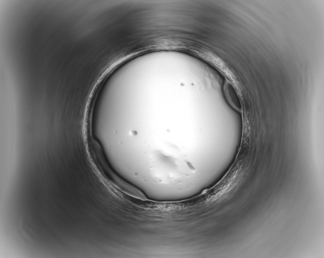 X0000093530803200711021309