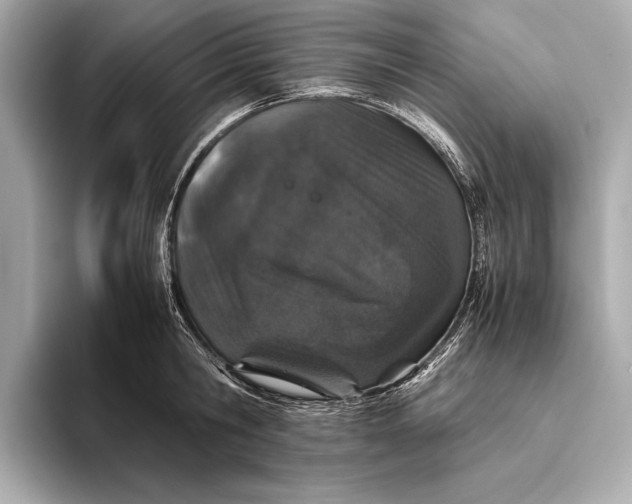 X0000093530806200711021309