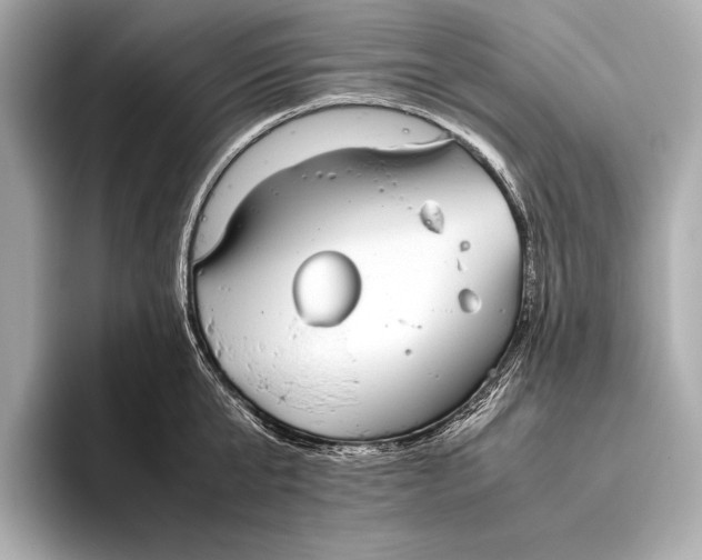 X0000093530807200711021309