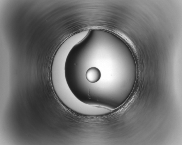 X0000093530809200711021309