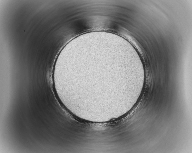 X0000093530810200711021309