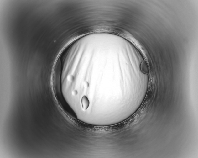 X0000093530811200711021309