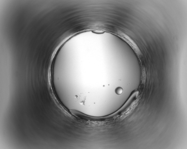 X0000093530812200711021309