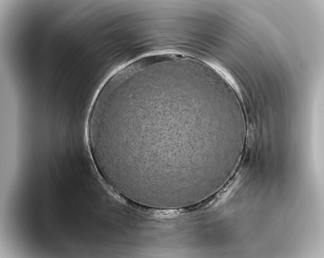 X0000093530813200711021309