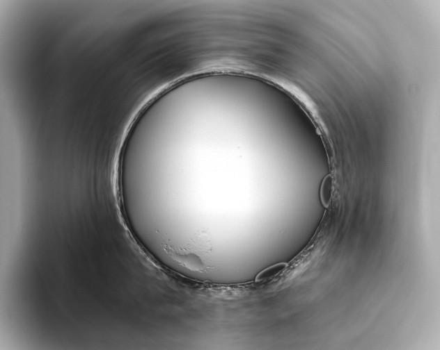 X0000093530815200711021309