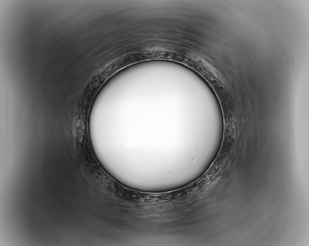 X0000093530821200711021309