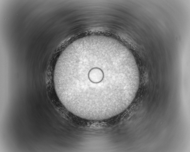 X0000093530824200711021309