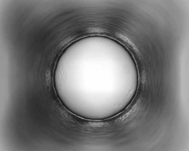 X0000093530825200711021309