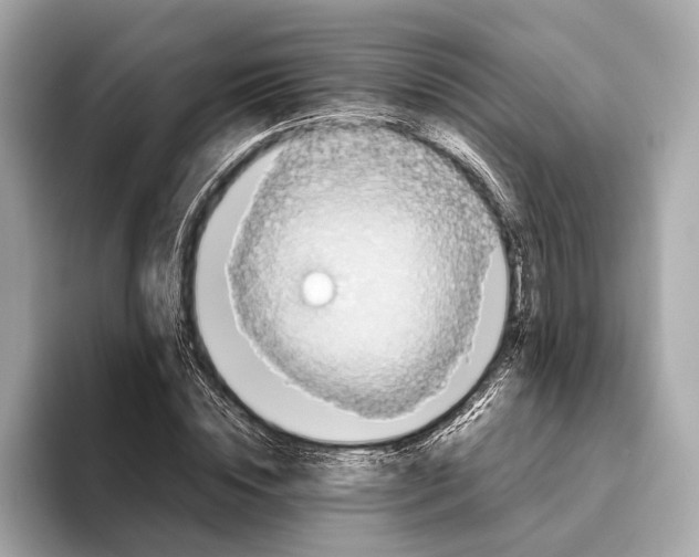 X0000093530828200711021309