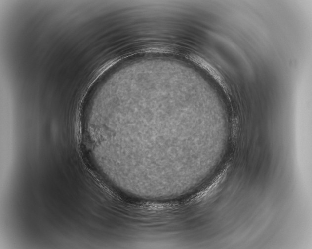 X0000093530829200711021309