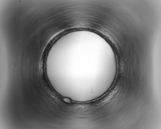 X0000093530830200711021309