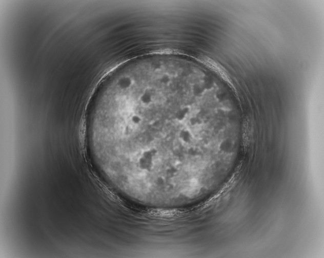 X0000093530831200711021309