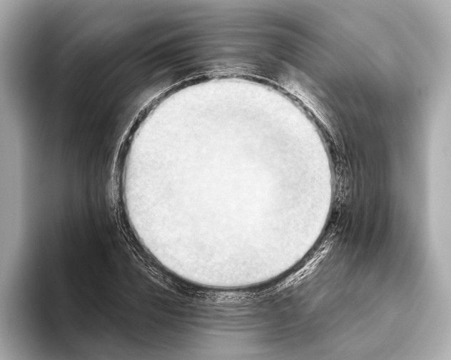 X0000093530832200711021309