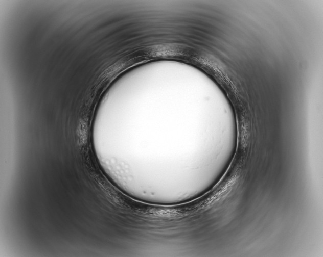 X0000093530833200711021309