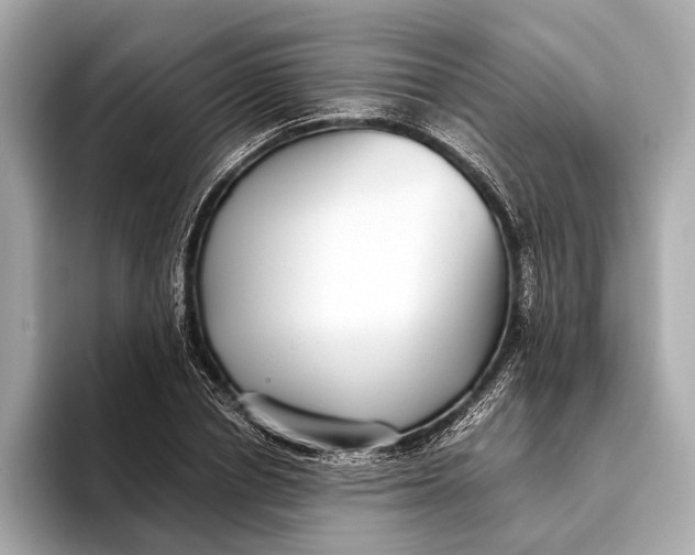 X0000093530834200711021309