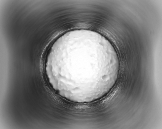 X0000093530835200711021309