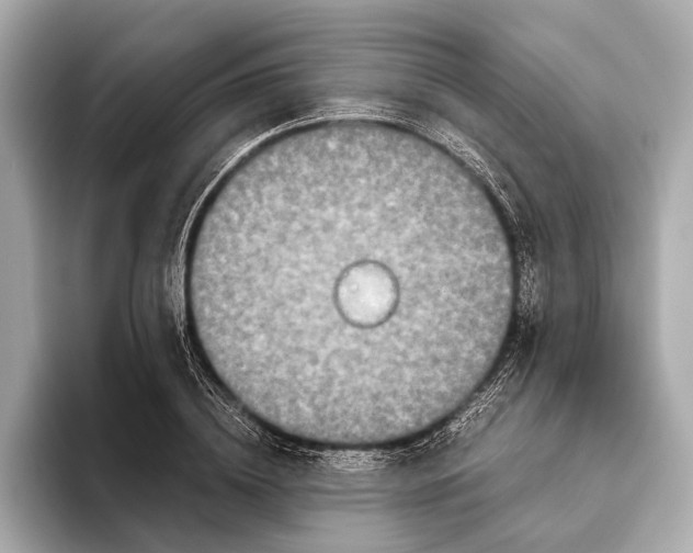 X0000093530836200711021309