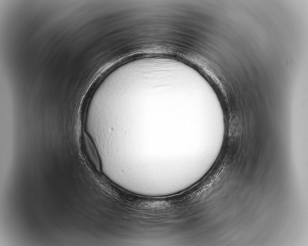 X0000093530837200711021309