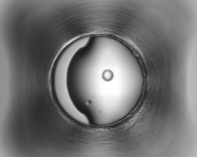 X0000093530838200711021309