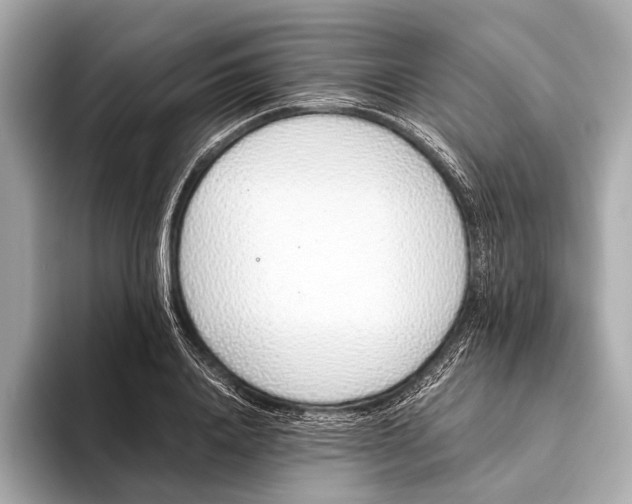 X0000093530840200711021309