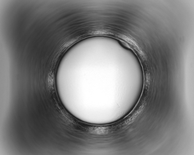 X0000093530841200711021309