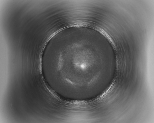 X0000093530842200711021309