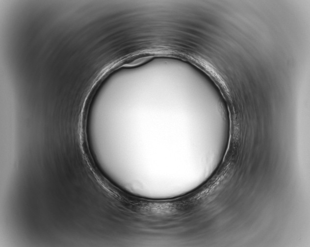 X0000093530845200711021309