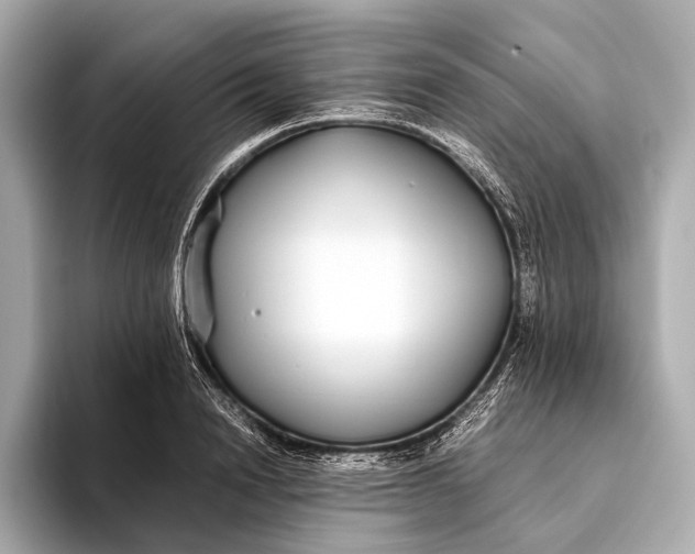 X0000093530846200711021309