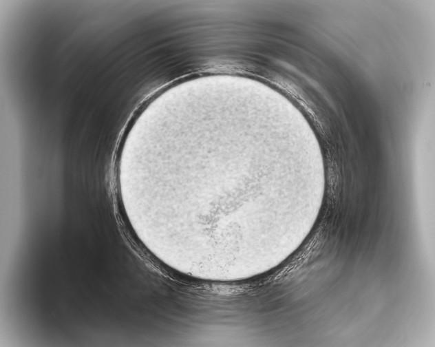 X0000093530848200711021309