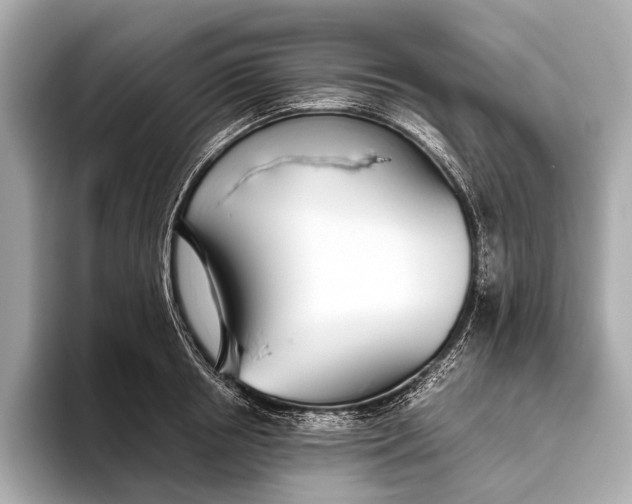 X0000093530850200711021309