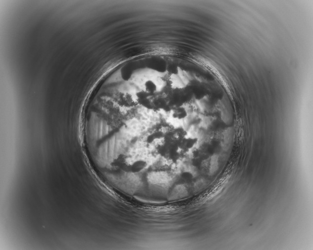 X0000093530851200711021309