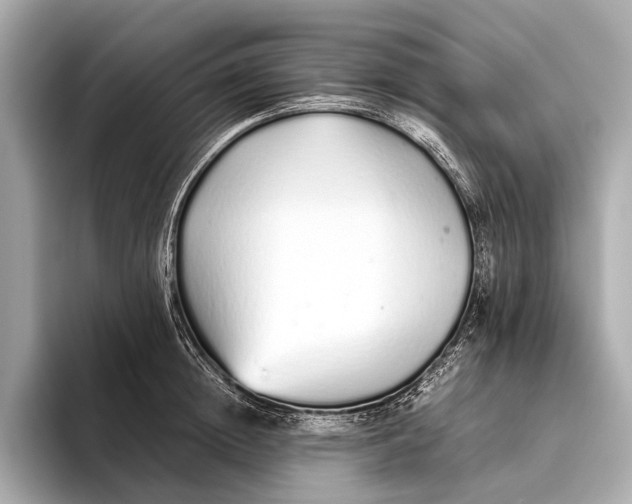 X0000093530852200711021309