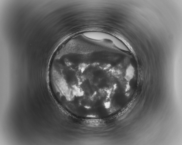 X0000093530853200711021309