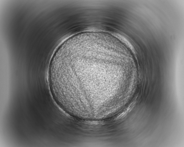 X0000093530855200711021309