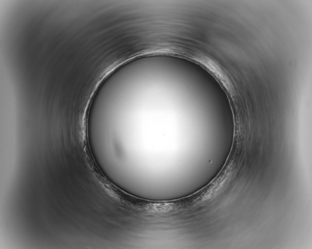 X0000093530858200711021309