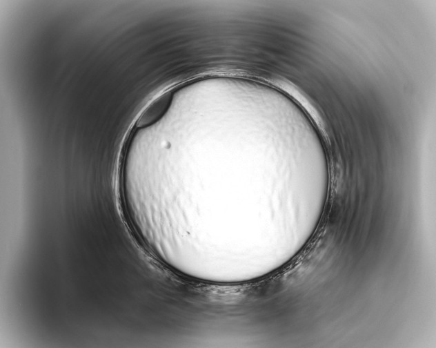 X0000093530861200711021309