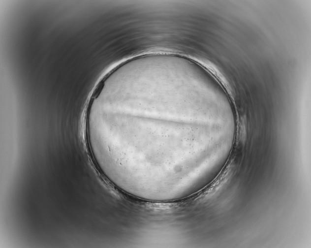 X0000093530862200711021309