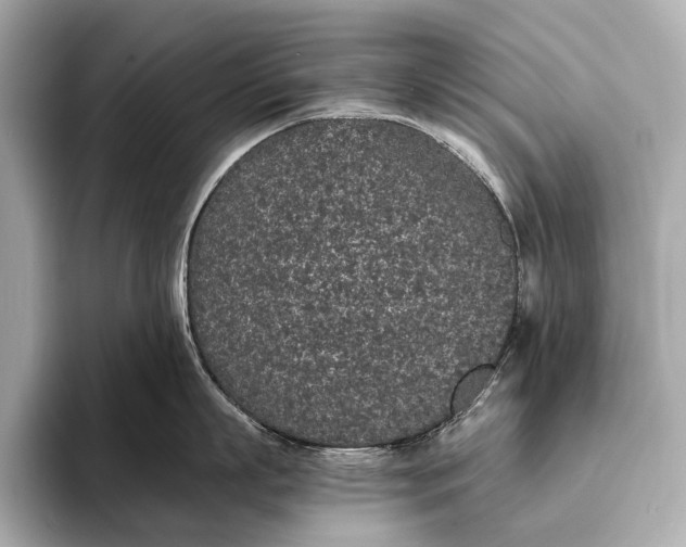 X0000093530863200711021309