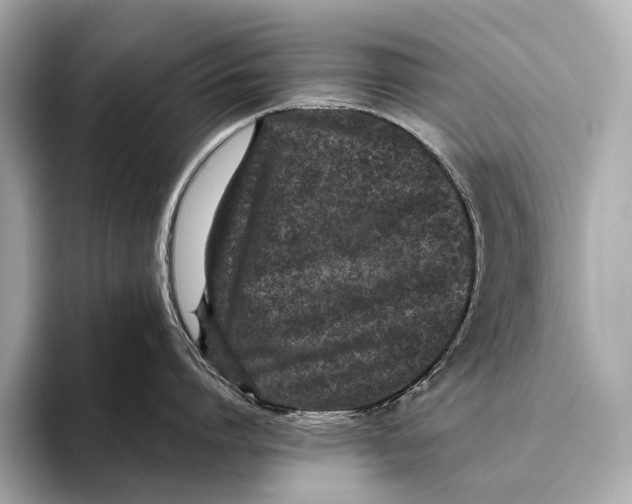 X0000093530864200711021309