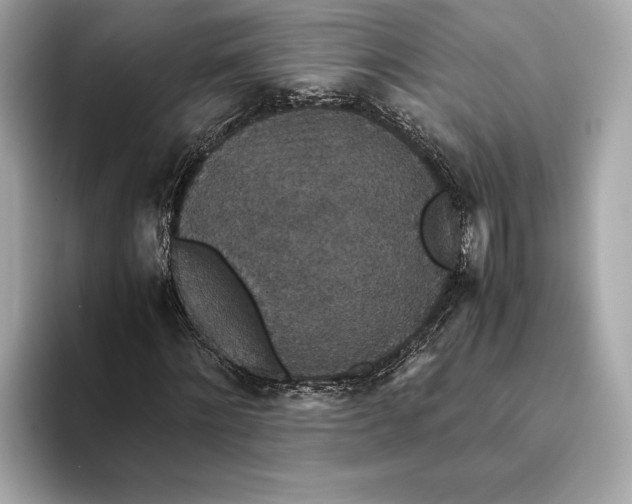 X0000093530868200711021309